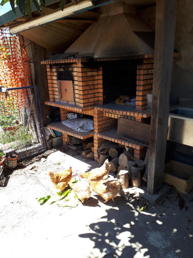 דירות פורטו House Contu1000 מראה חיצוני תמונה