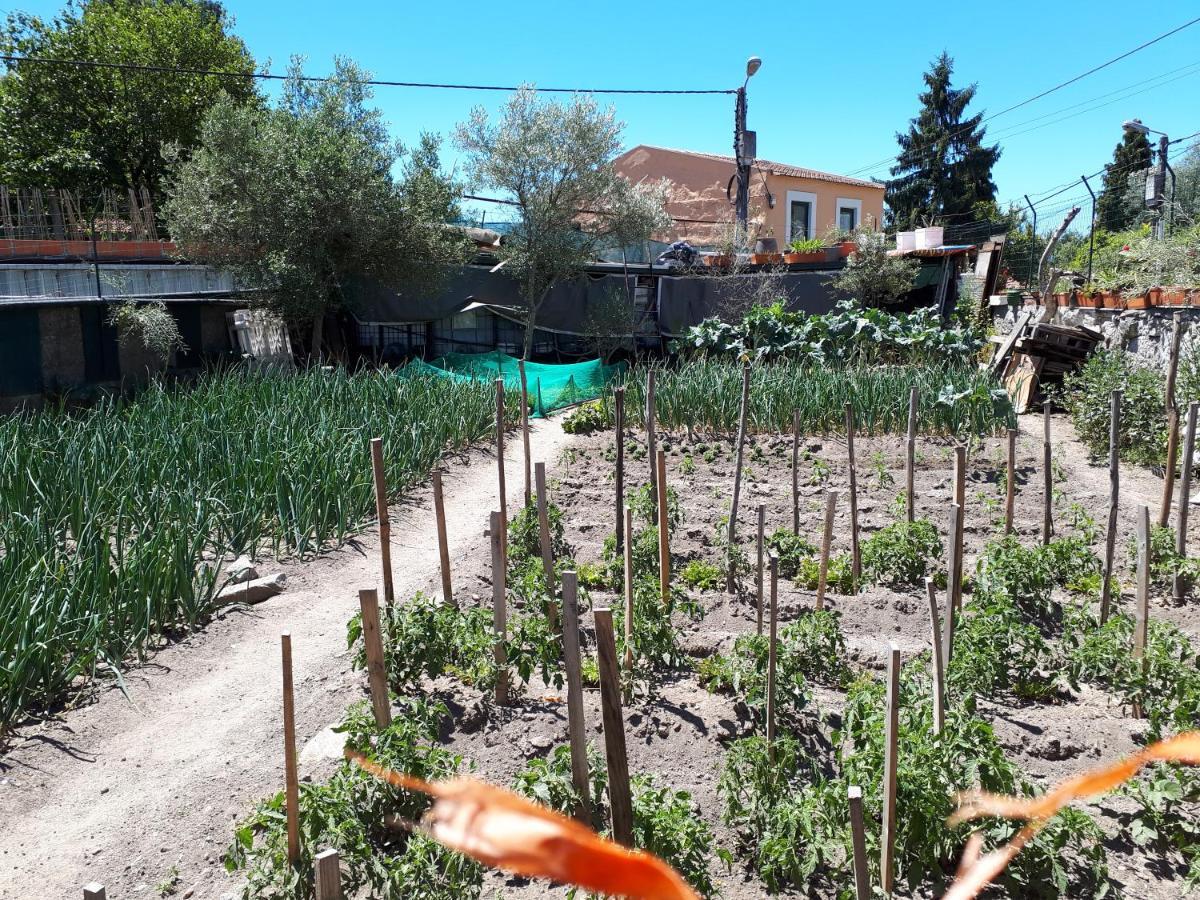 דירות פורטו House Contu1000 מראה חיצוני תמונה